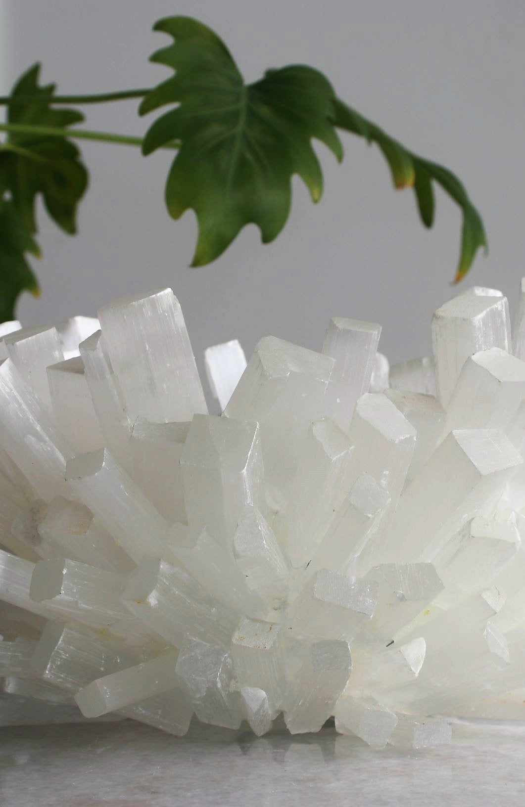 Selenite Bowl